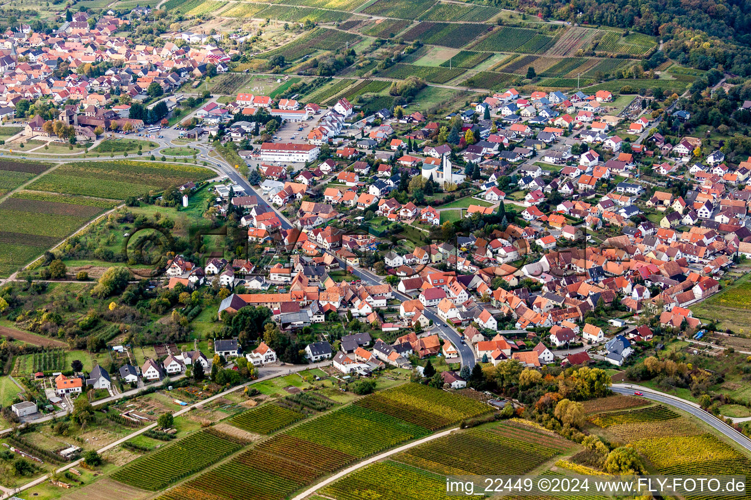 Vue oblique de Vignobles et forêt en Rechtenbach à le quartier Rechtenbach in Schweigen-Rechtenbach dans le département Rhénanie-Palatinat, Allemagne