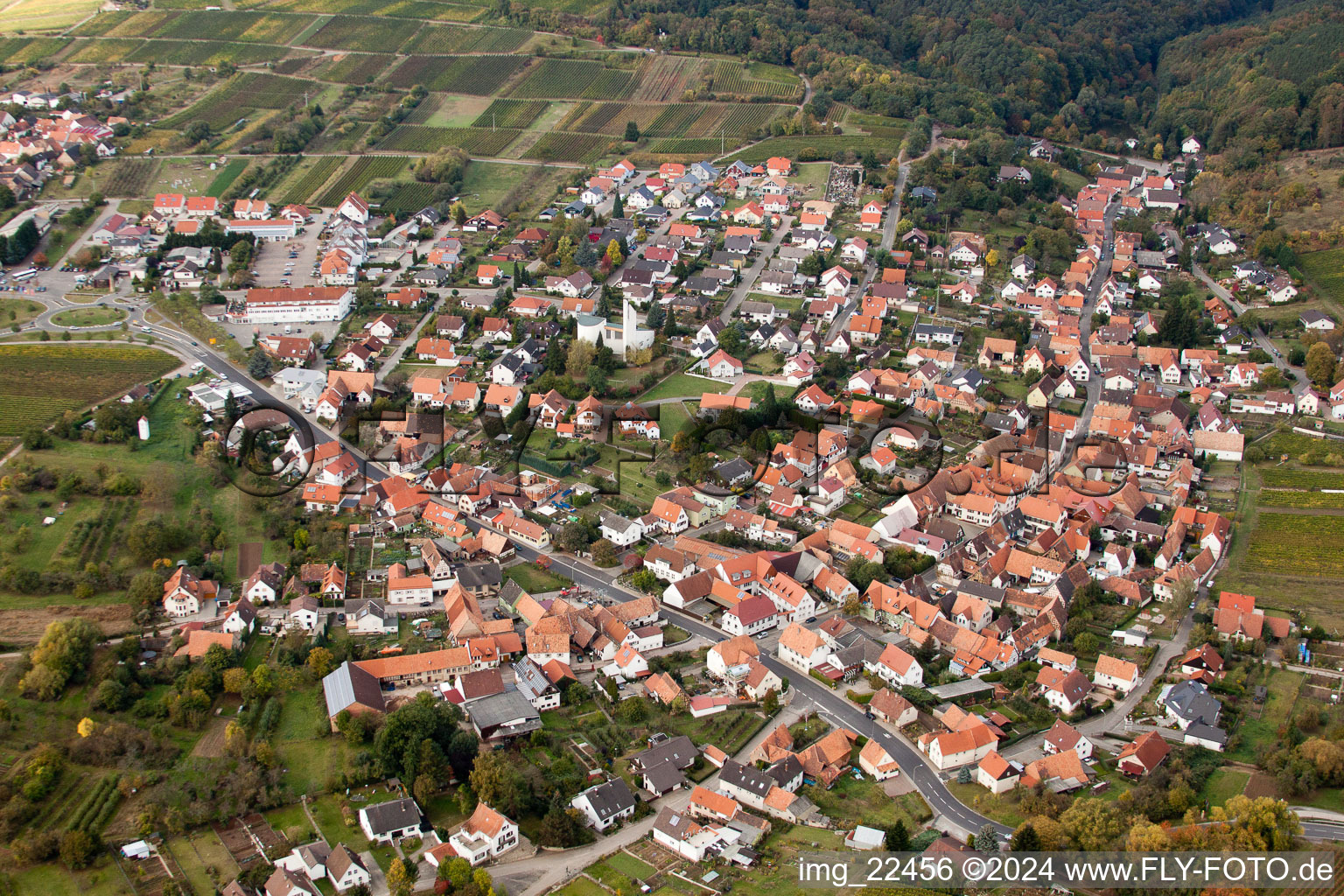 Quartier Rechtenbach in Schweigen-Rechtenbach dans le département Rhénanie-Palatinat, Allemagne du point de vue du drone