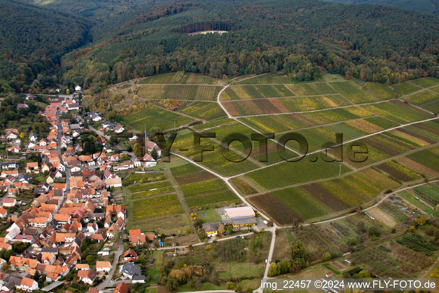 Quartier Rechtenbach in Schweigen-Rechtenbach dans le département Rhénanie-Palatinat, Allemagne d'un drone