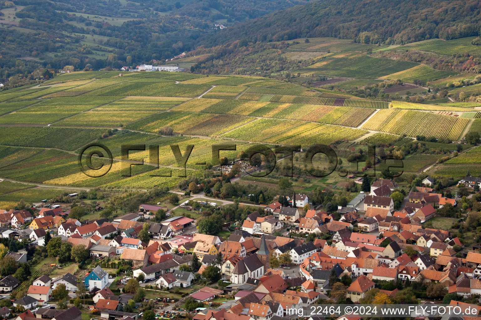 Photographie aérienne de Quartier Rechtenbach in Schweigen-Rechtenbach dans le département Rhénanie-Palatinat, Allemagne