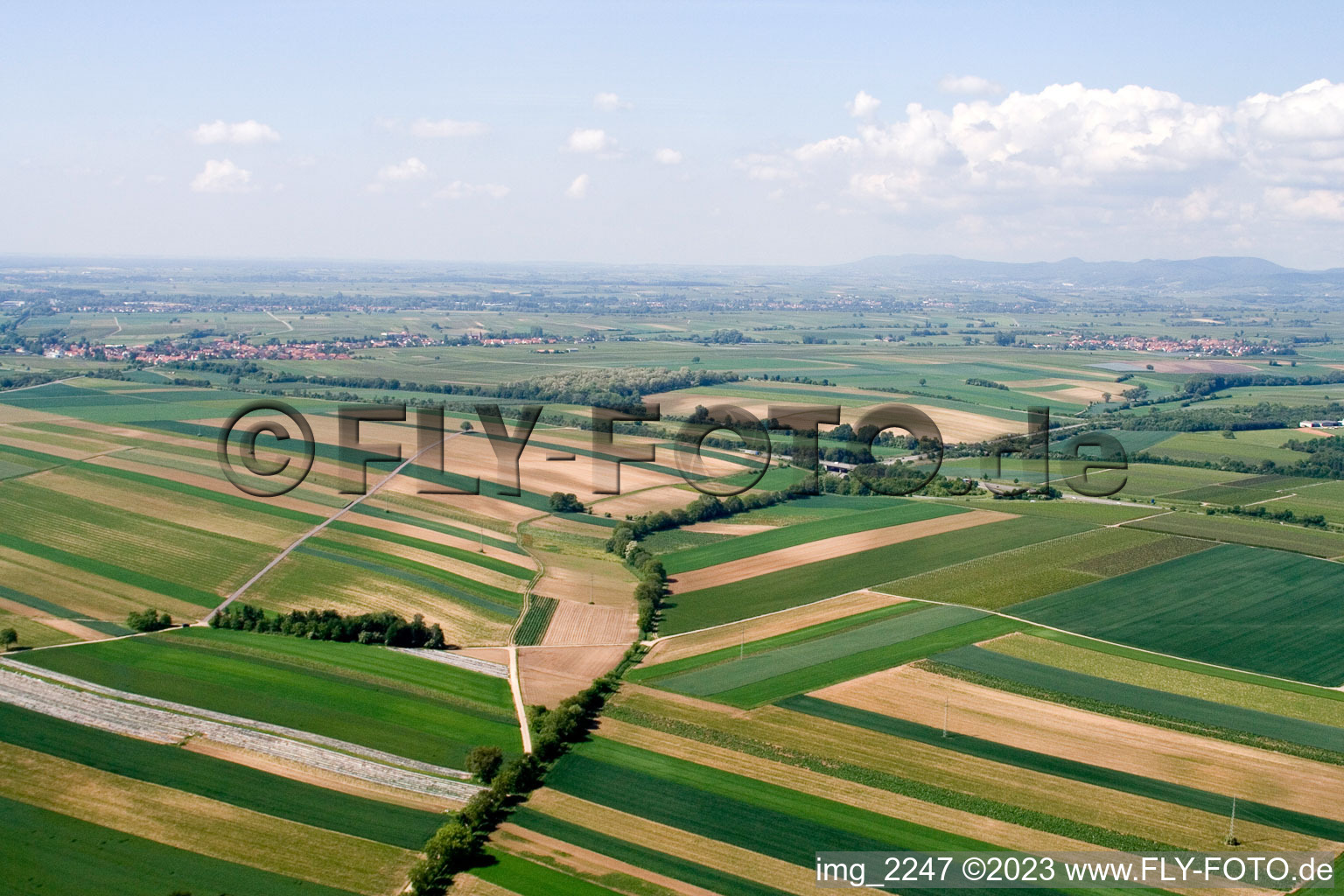 Vue aérienne de Du nord-est à Insheim dans le département Rhénanie-Palatinat, Allemagne