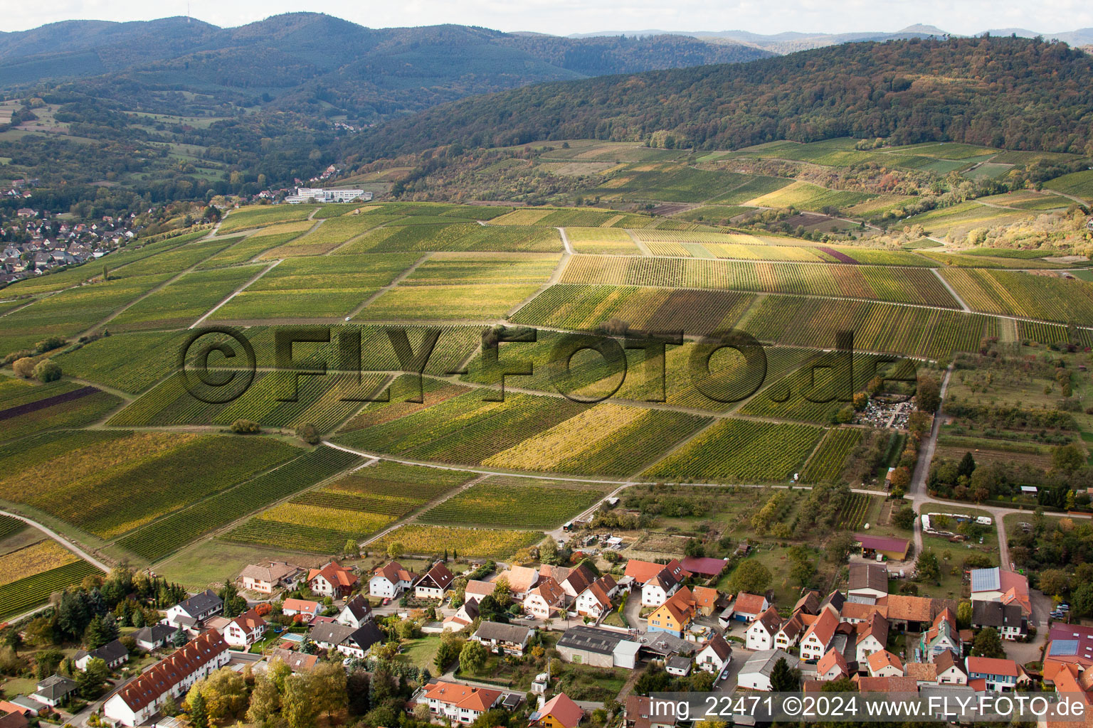 Sonnenberg à le quartier Schweigen in Schweigen-Rechtenbach dans le département Rhénanie-Palatinat, Allemagne vue du ciel