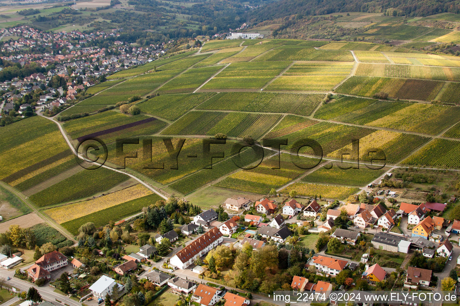 Enregistrement par drone de Sonnenberg à le quartier Schweigen in Schweigen-Rechtenbach dans le département Rhénanie-Palatinat, Allemagne