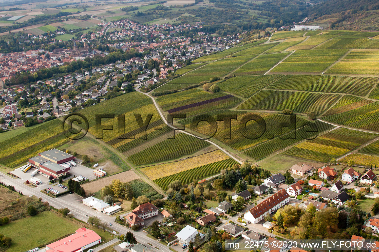 Image drone de Sonnenberg à le quartier Schweigen in Schweigen-Rechtenbach dans le département Rhénanie-Palatinat, Allemagne