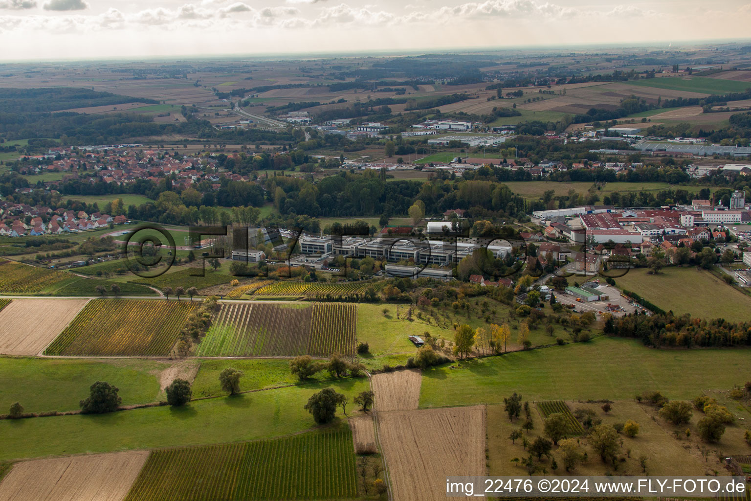 Vue aérienne de Lycée Stanislas à le quartier Altenstadt in Wissembourg dans le département Bas Rhin, France