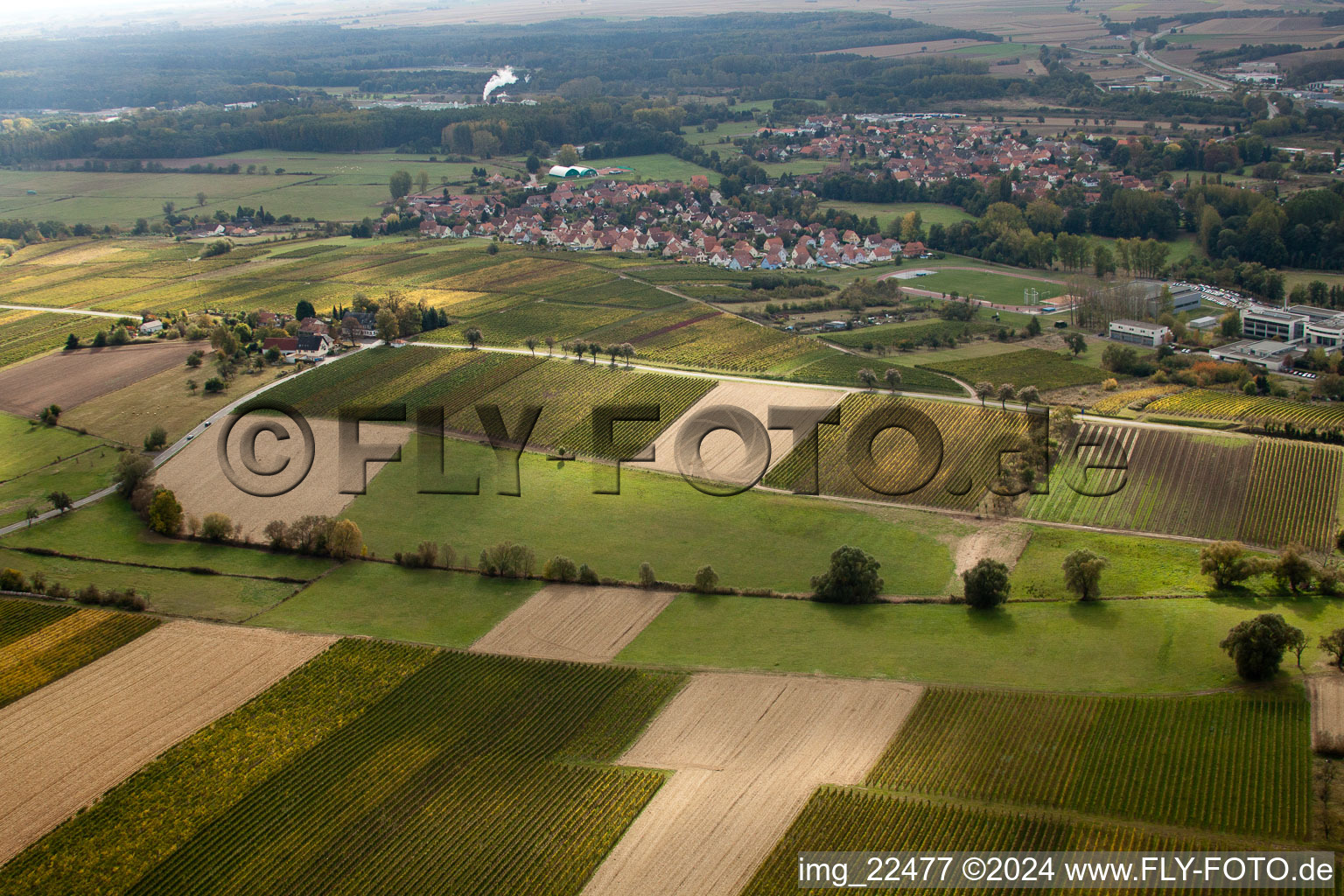 Quartier Altenstadt in Wissembourg dans le département Bas Rhin, France vue d'en haut