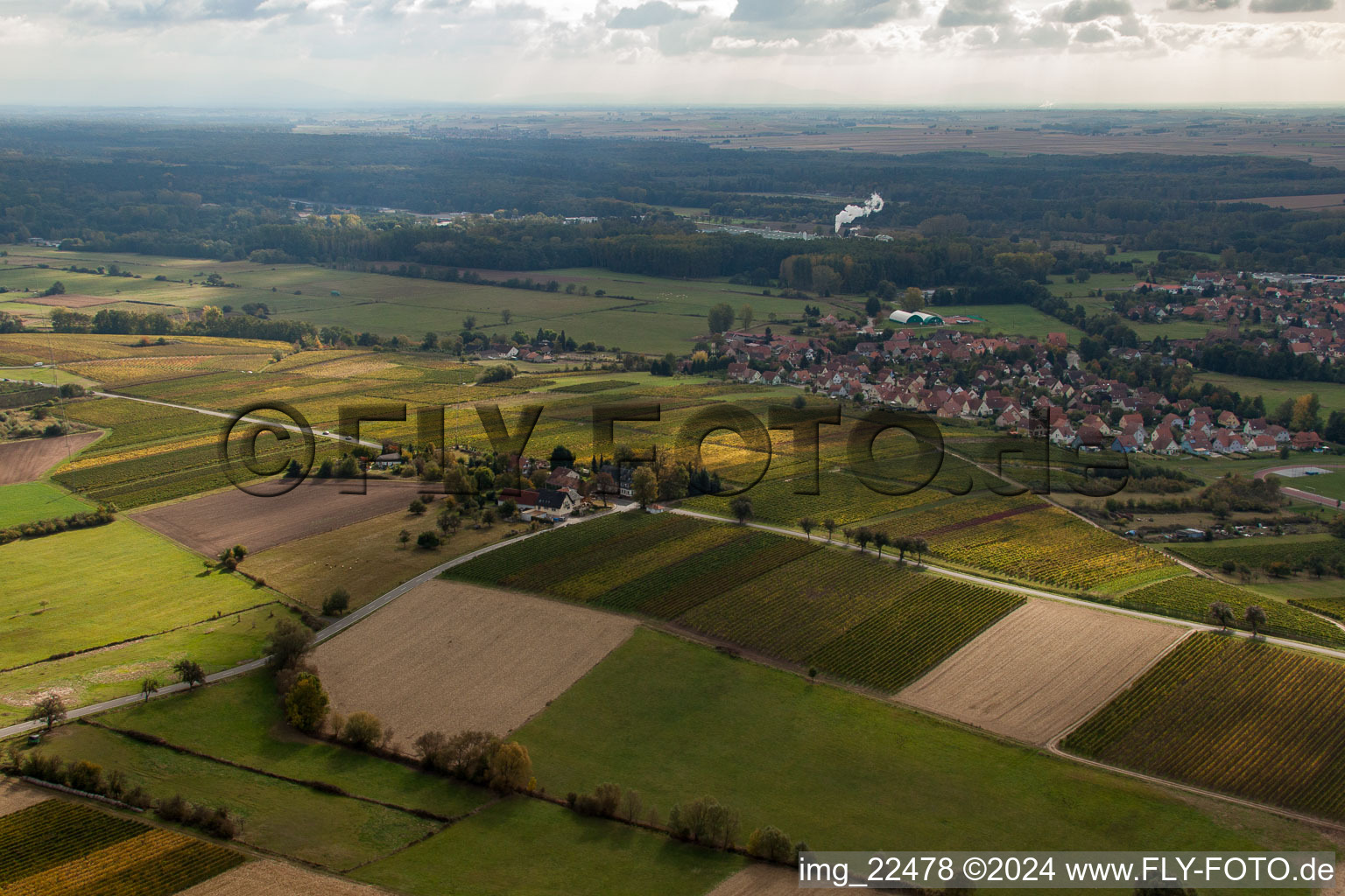 Vue oblique de Altenstadt dans le département Bas Rhin, France