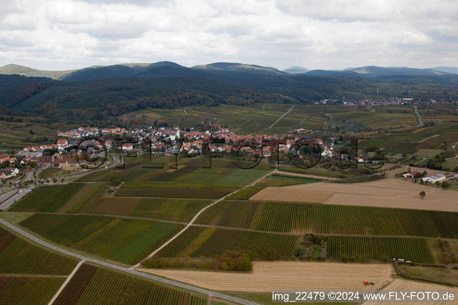 Vue oblique de Quartier Rechtenbach in Schweigen-Rechtenbach dans le département Rhénanie-Palatinat, Allemagne