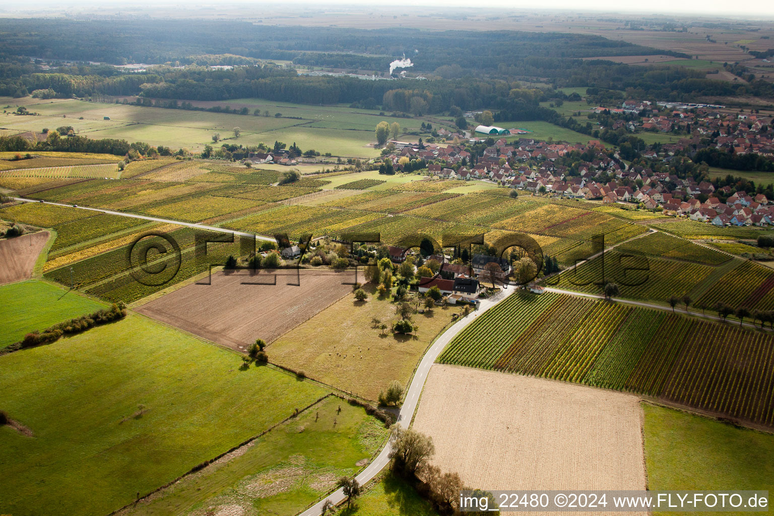 Vue aérienne de Windhof à Schweighofen dans le département Rhénanie-Palatinat, Allemagne