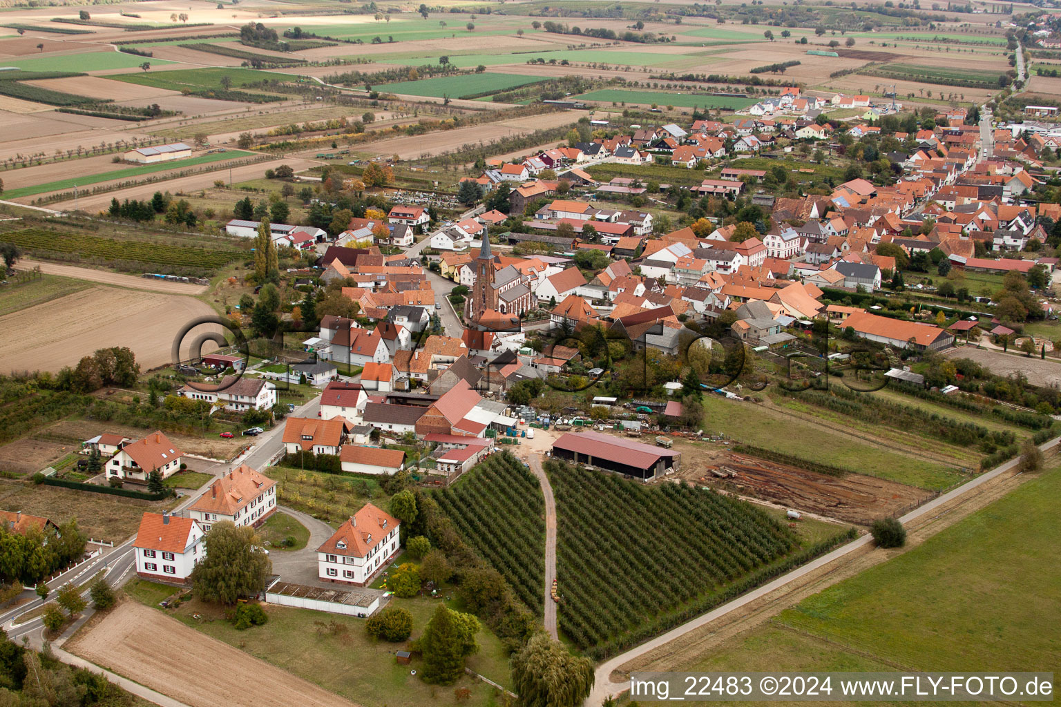 Photographie aérienne de Champs agricoles et surfaces utilisables à Schweighofen dans le département Rhénanie-Palatinat, Allemagne