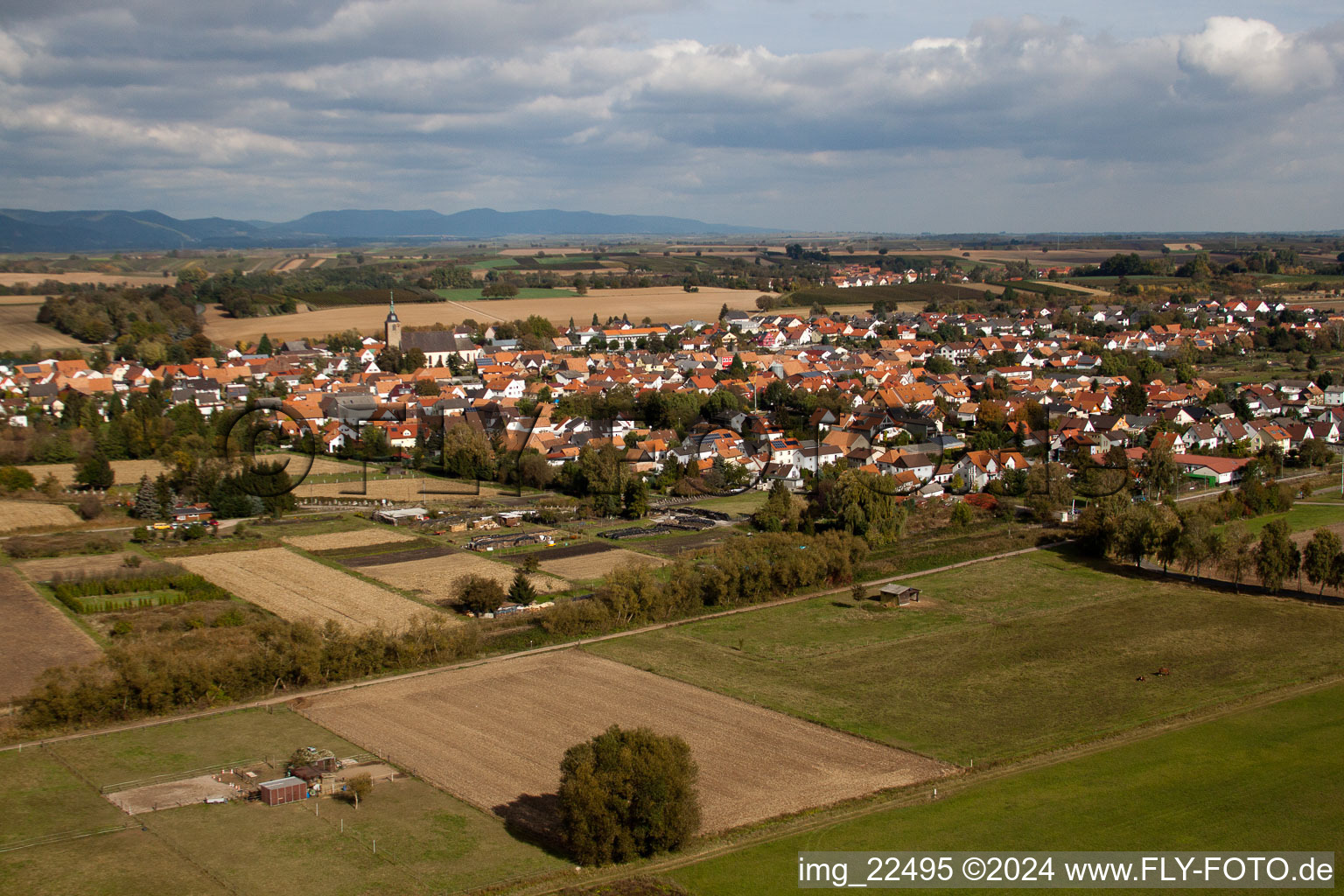 Vue oblique de Steinfeld dans le département Rhénanie-Palatinat, Allemagne