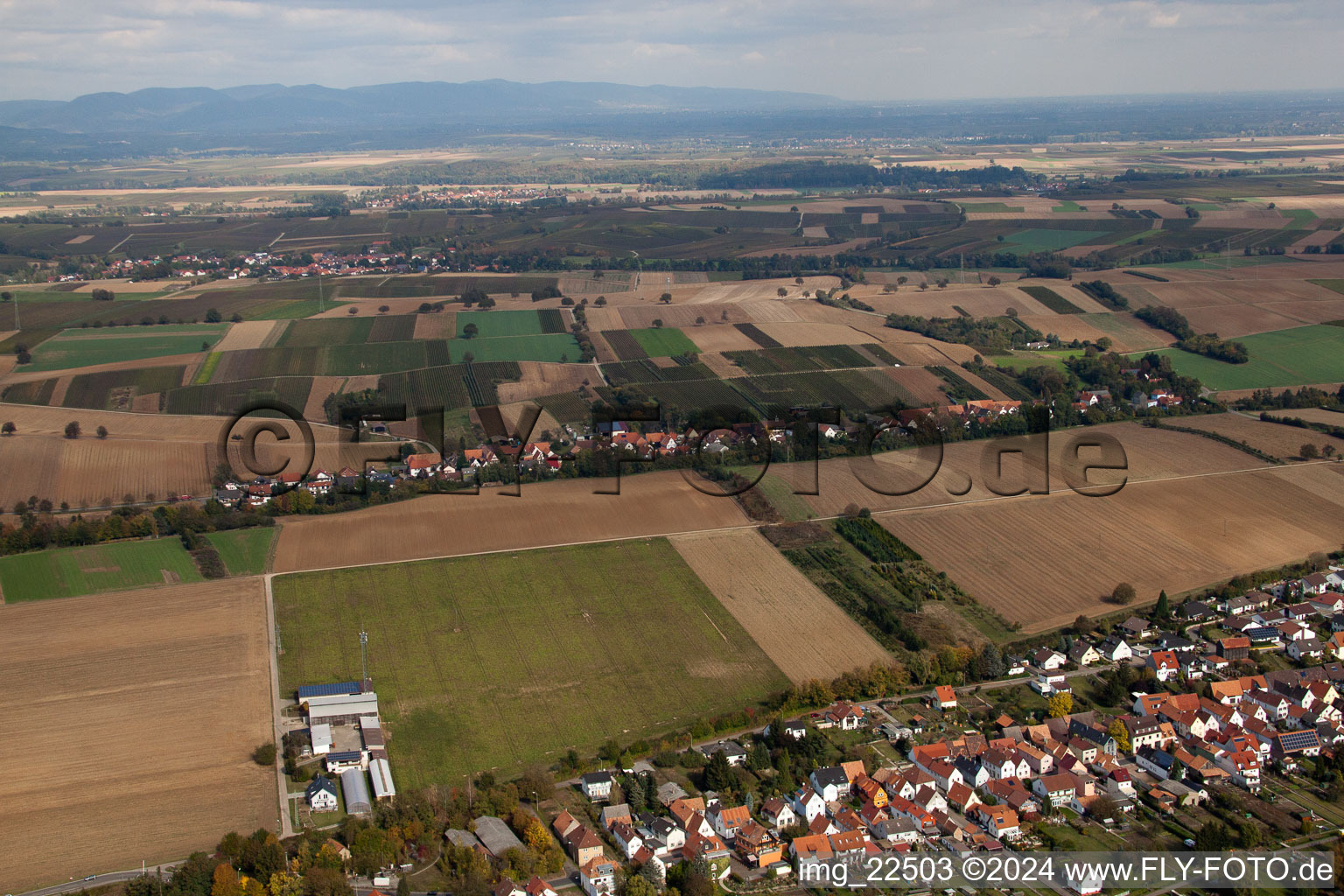 Quartier Schaidt in Wörth am Rhein dans le département Rhénanie-Palatinat, Allemagne vu d'un drone