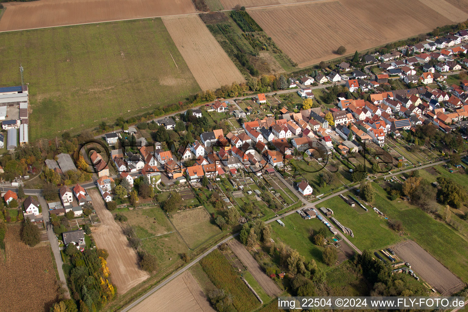 Vue aérienne de Quartier Schaidt in Wörth am Rhein dans le département Rhénanie-Palatinat, Allemagne