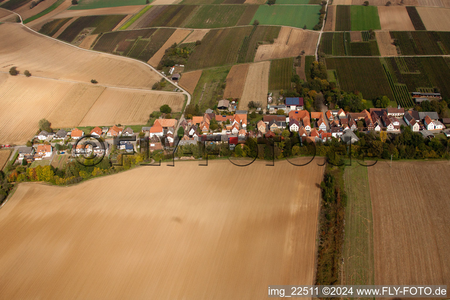 Vollmersweiler dans le département Rhénanie-Palatinat, Allemagne du point de vue du drone