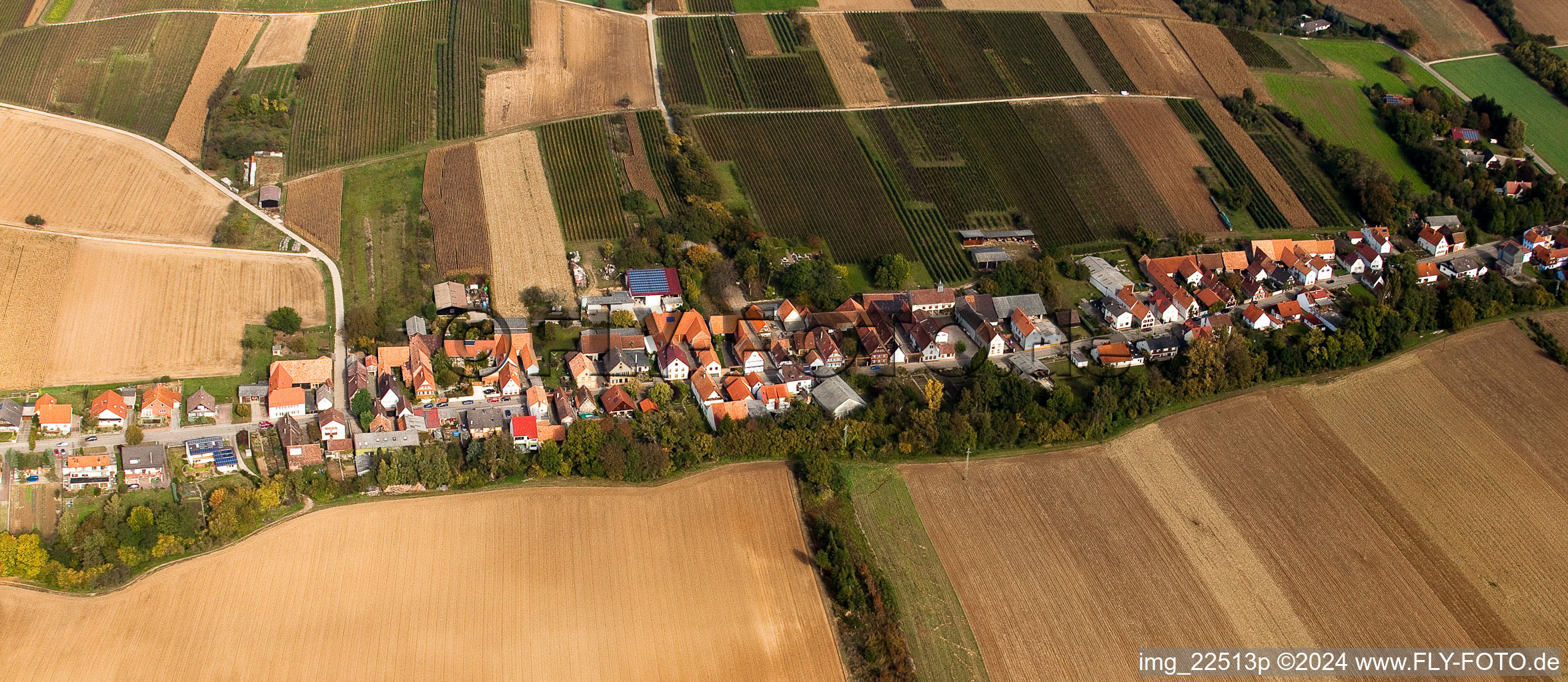 Photographie aérienne de Champs agricoles et surfaces utilisables à Vollmersweiler dans le département Rhénanie-Palatinat, Allemagne