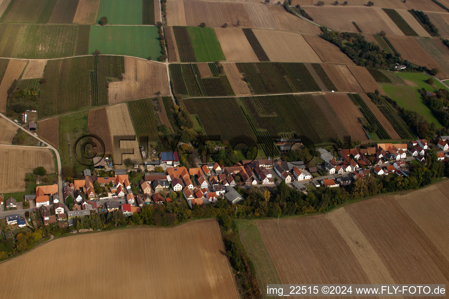 Vue aérienne de Vollmersweiler dans le département Rhénanie-Palatinat, Allemagne