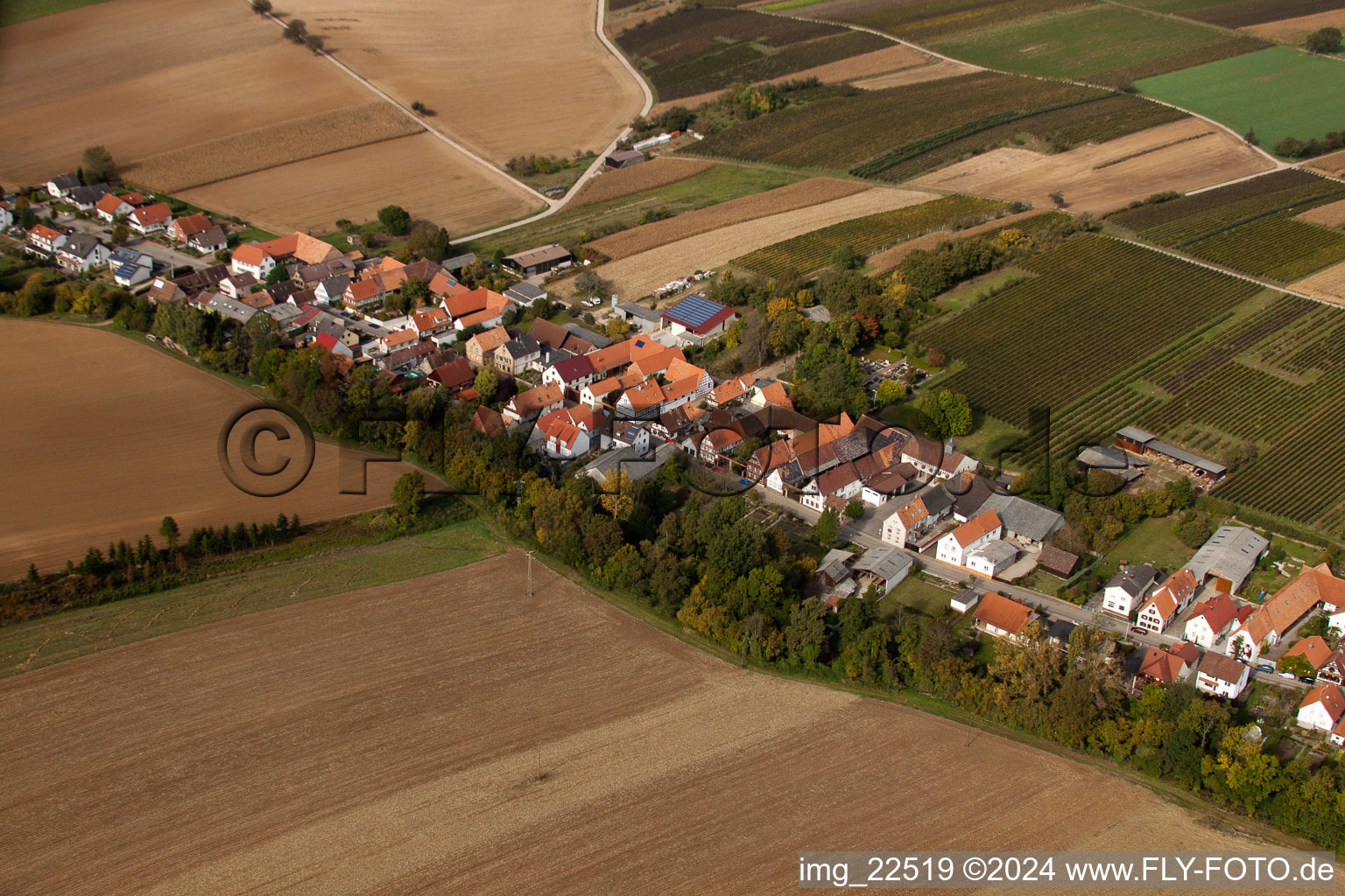 Vue oblique de Champs agricoles et surfaces utilisables à Vollmersweiler dans le département Rhénanie-Palatinat, Allemagne