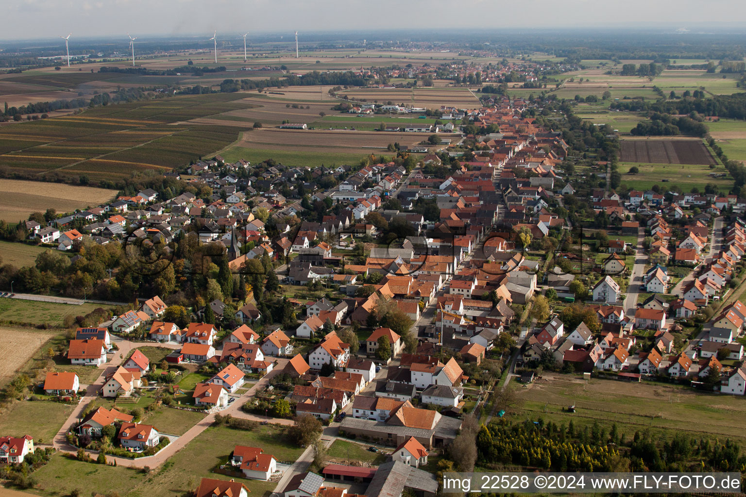 Vue oblique de Freckenfeld dans le département Rhénanie-Palatinat, Allemagne