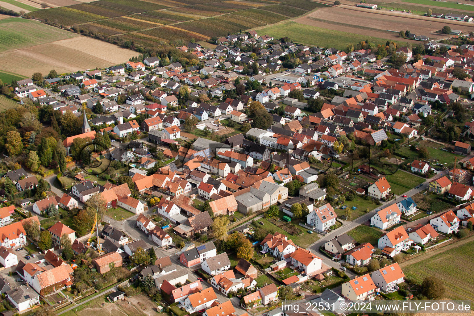 Photographie aérienne de Champs agricoles et surfaces utilisables à Freckenfeld dans le département Rhénanie-Palatinat, Allemagne
