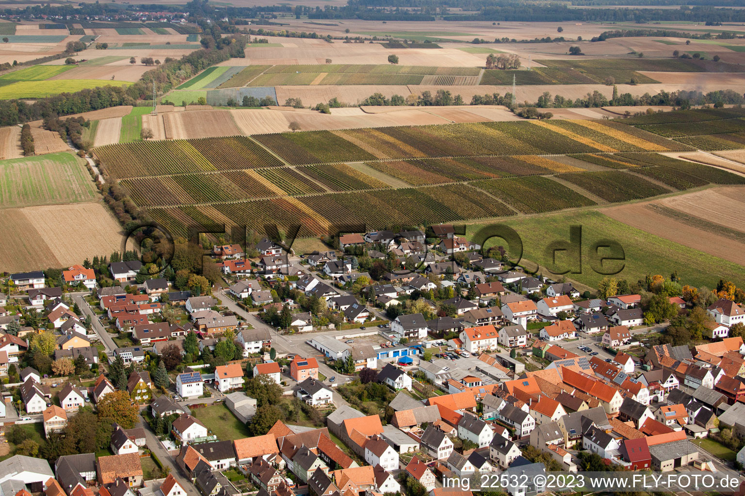 Freckenfeld dans le département Rhénanie-Palatinat, Allemagne vue d'en haut