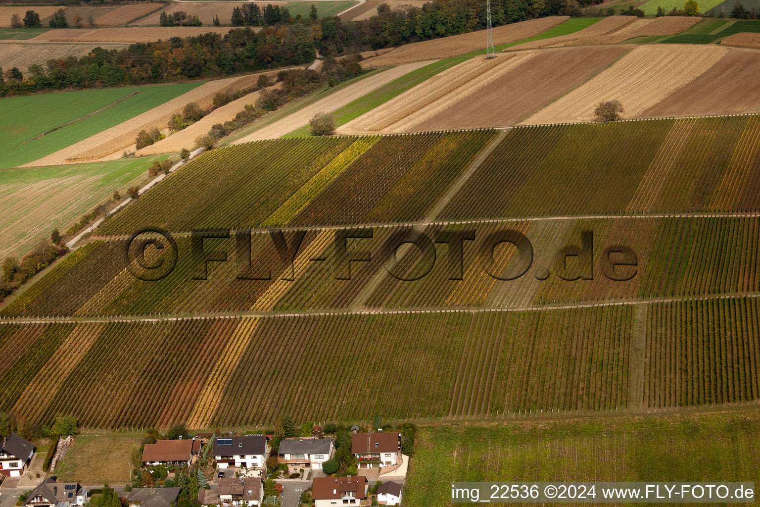 Vue aérienne de Vignobles entre Freckenfeld et Winden à Freckenfeld dans le département Rhénanie-Palatinat, Allemagne