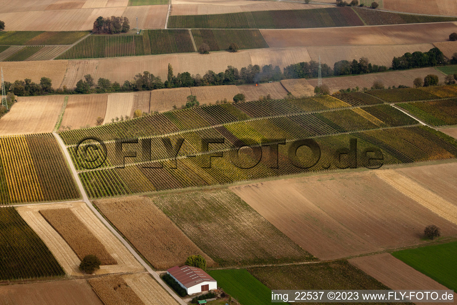 Vue aérienne de Vignobles entre Freckenfeld et Winden à Freckenfeld dans le département Rhénanie-Palatinat, Allemagne
