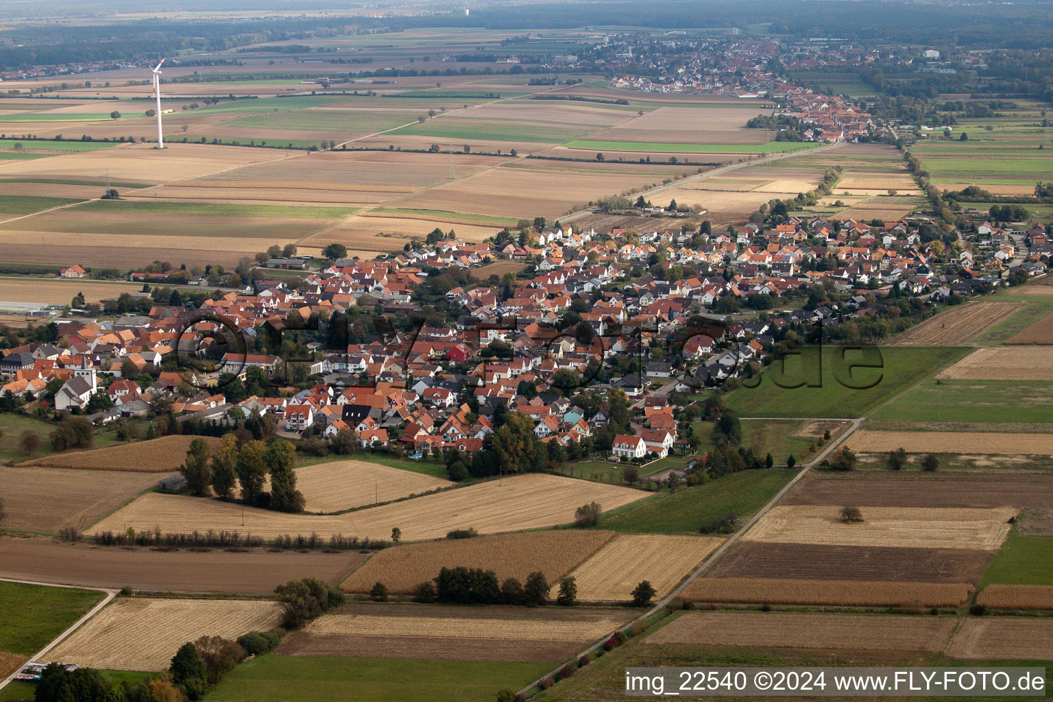 Vue aérienne de Champs agricoles et surfaces utilisables à Minfeld dans le département Rhénanie-Palatinat, Allemagne