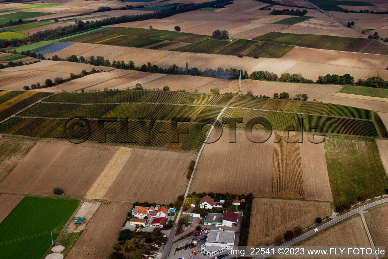 Photographie aérienne de Vignobles entre Freckenfeld et Winden à Freckenfeld dans le département Rhénanie-Palatinat, Allemagne