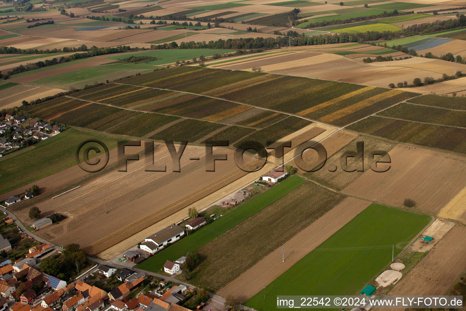 Freckenfeld dans le département Rhénanie-Palatinat, Allemagne vue du ciel