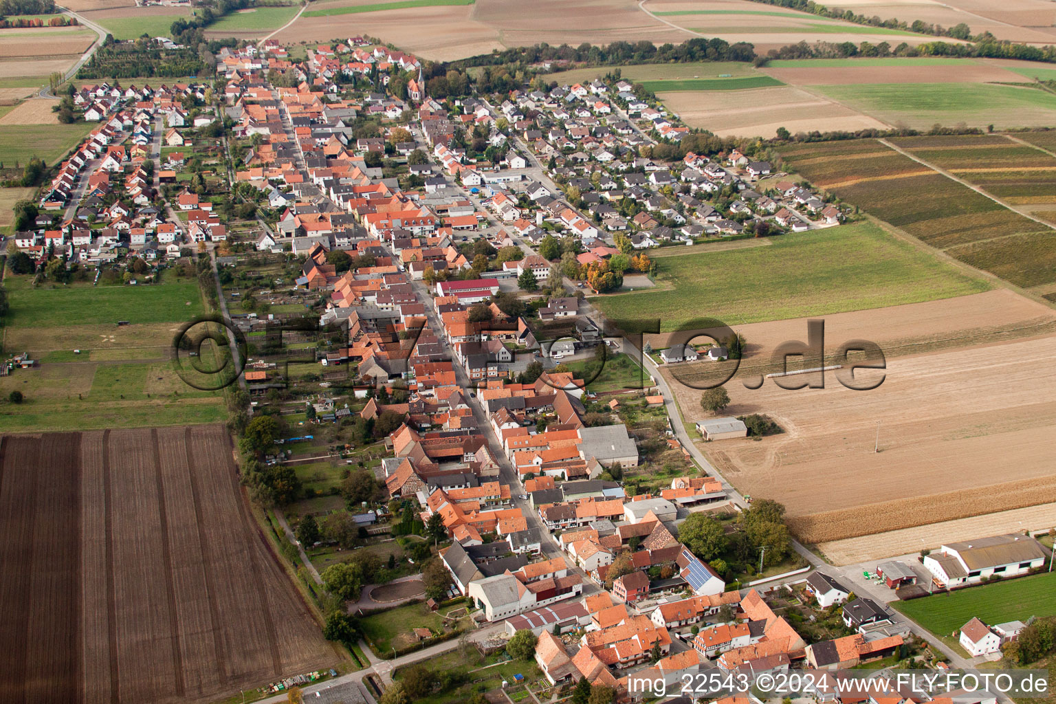 Enregistrement par drone de Freckenfeld dans le département Rhénanie-Palatinat, Allemagne