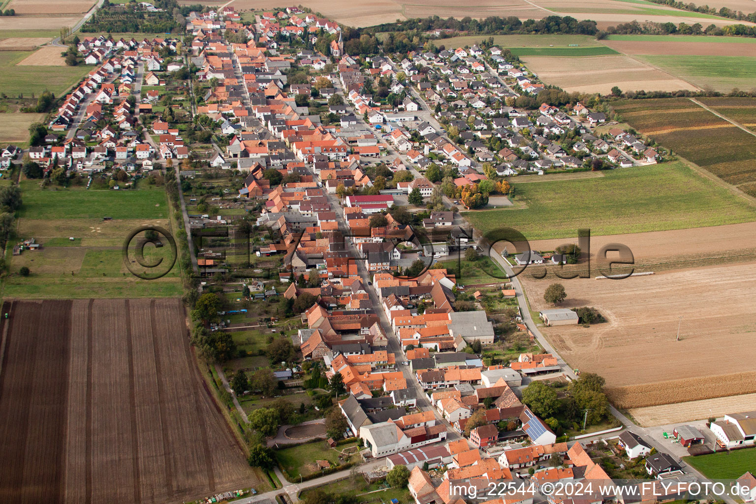 Vue oblique de Champs agricoles et surfaces utilisables à Freckenfeld dans le département Rhénanie-Palatinat, Allemagne