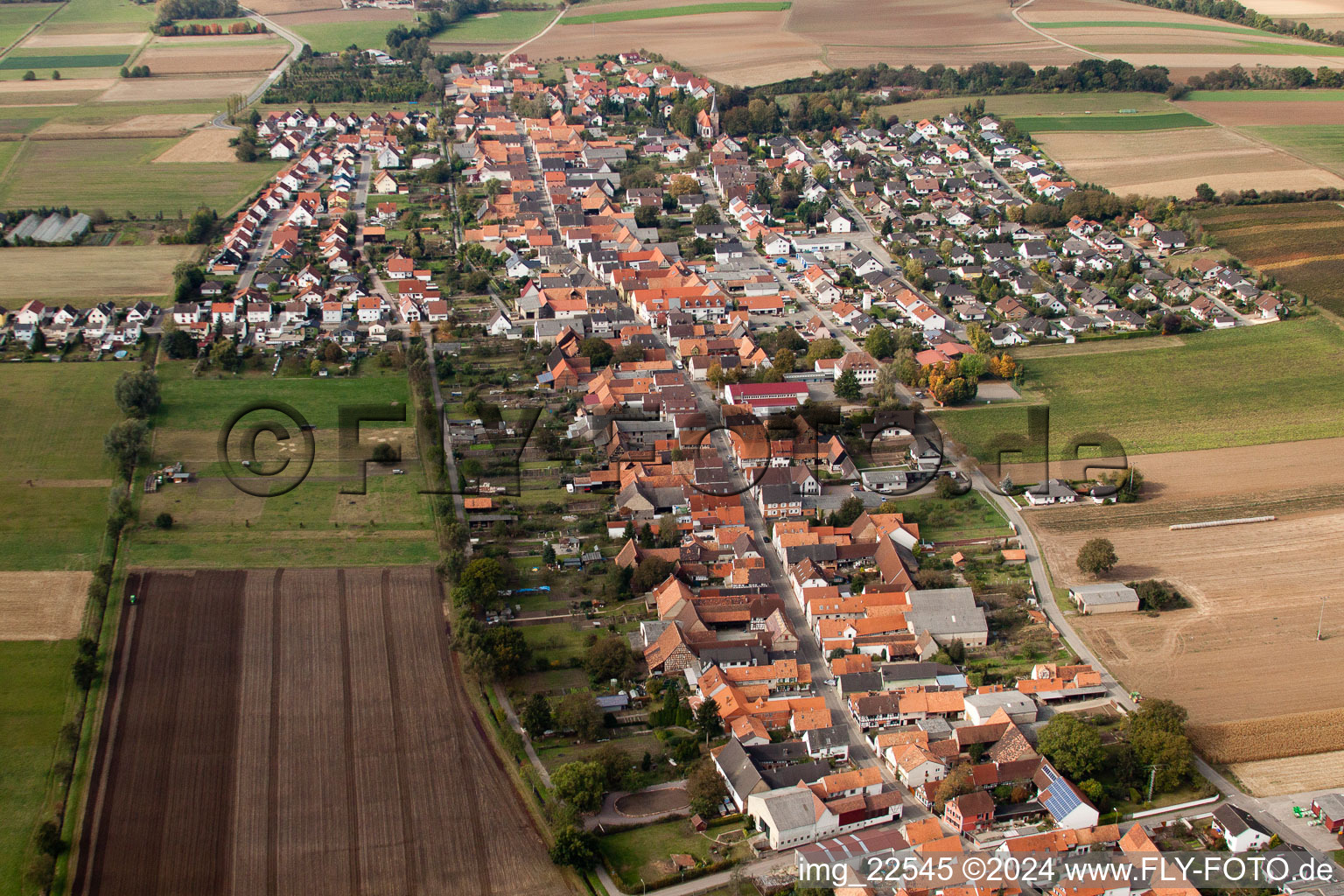 Image drone de Freckenfeld dans le département Rhénanie-Palatinat, Allemagne