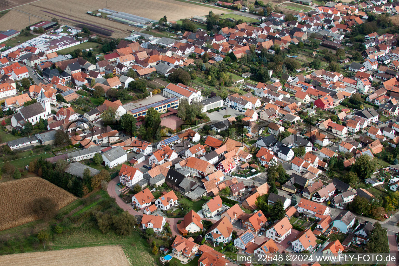 Photographie aérienne de Champs agricoles et surfaces utilisables à Minfeld dans le département Rhénanie-Palatinat, Allemagne