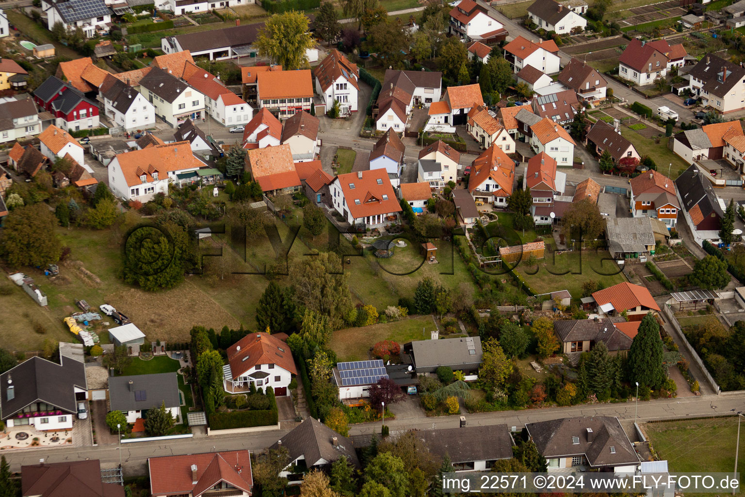 Vue d'oiseau de Minfeld dans le département Rhénanie-Palatinat, Allemagne