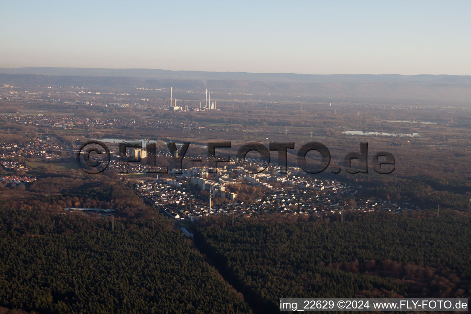 Vue aérienne de Dorschberg à Wörth am Rhein dans le département Rhénanie-Palatinat, Allemagne