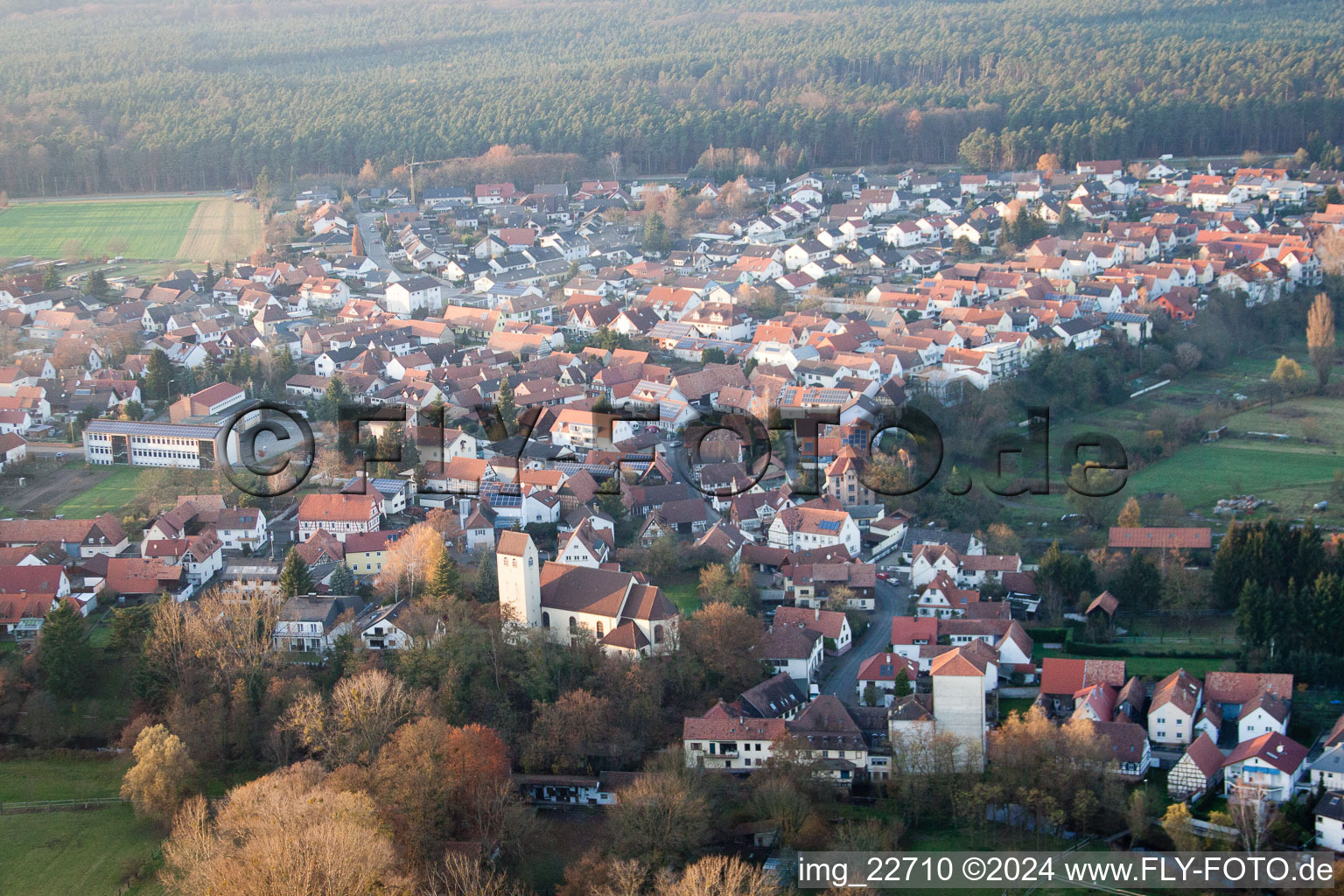 Vue du village (Palatinat) à Berg dans le département Rhénanie-Palatinat, Allemagne hors des airs