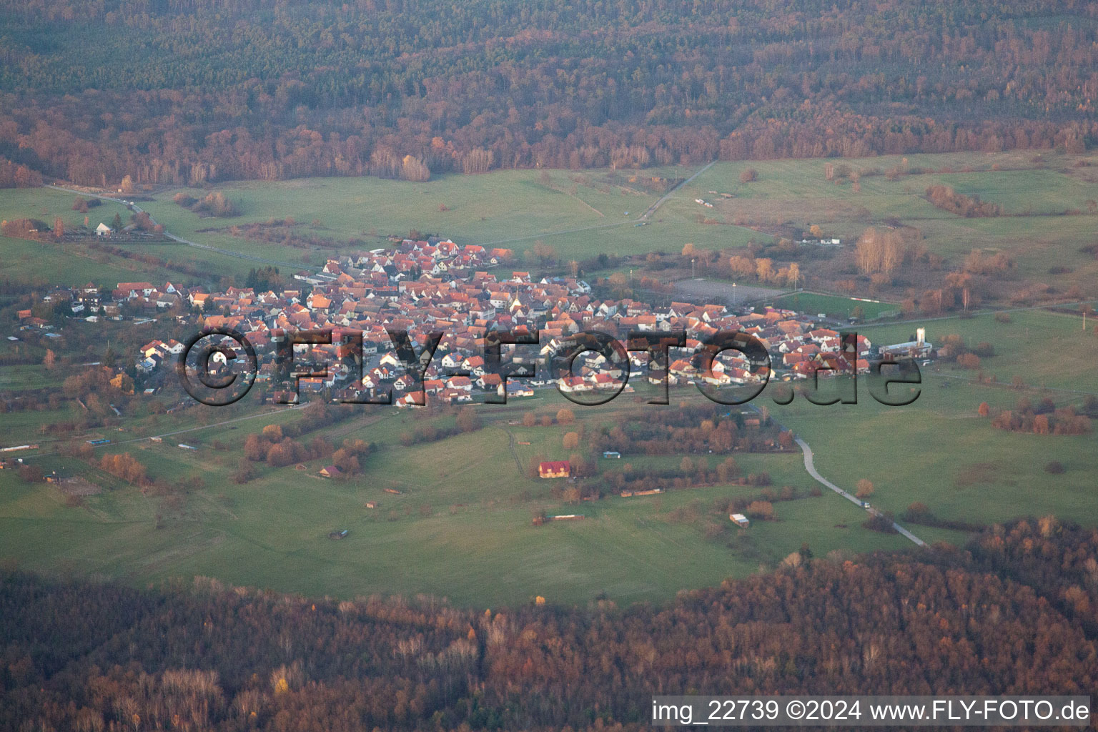 Image drone de Quartier Büchelberg in Wörth am Rhein dans le département Rhénanie-Palatinat, Allemagne