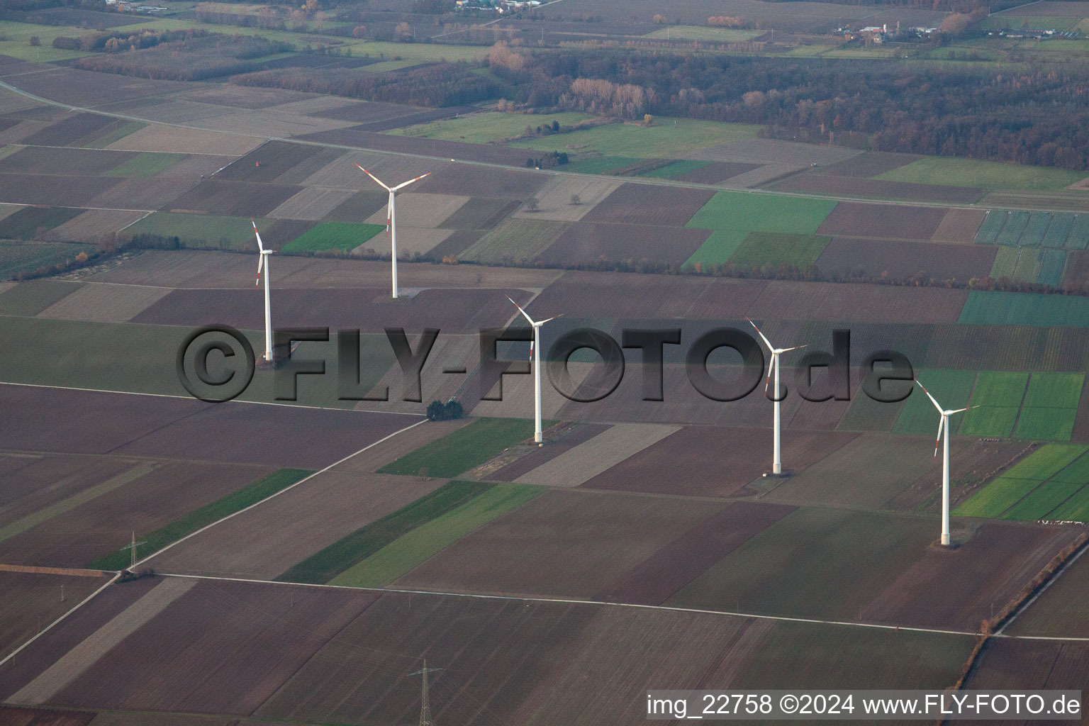 Minfeld dans le département Rhénanie-Palatinat, Allemagne du point de vue du drone