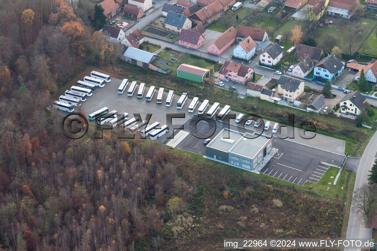 Vue aérienne de Transport local et dépôt de bus de la société de transport INTER LINK SAS à Schaffhouse-pres-Seltz à Seltz dans le département Bas Rhin, France