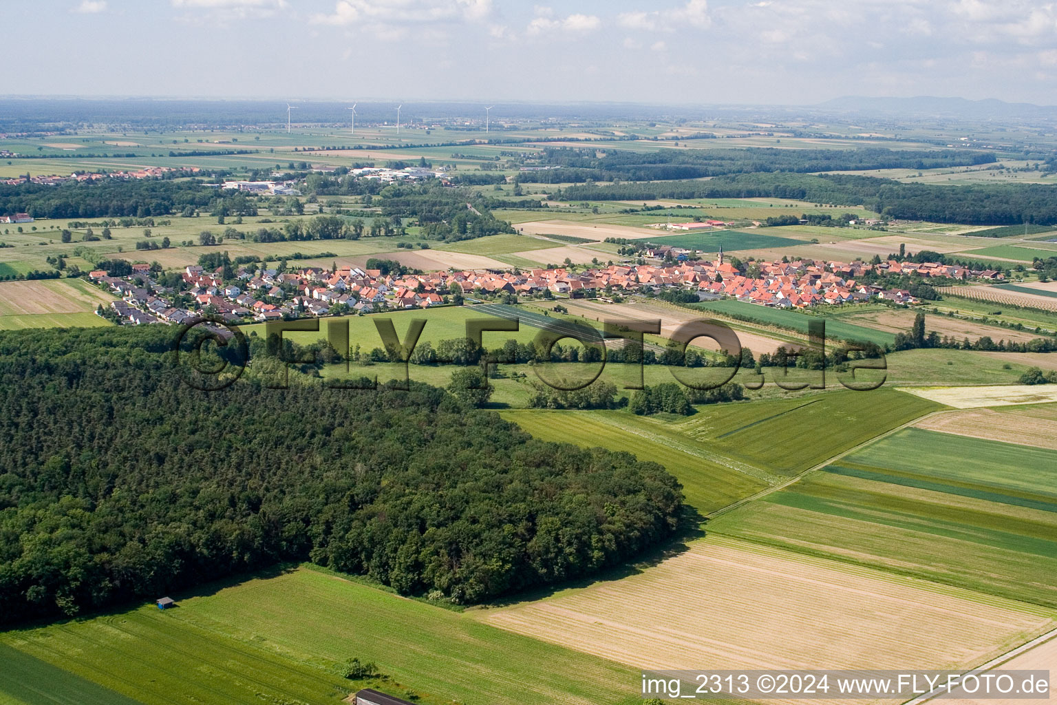 Photographie aérienne de Du nord à Erlenbach bei Kandel dans le département Rhénanie-Palatinat, Allemagne