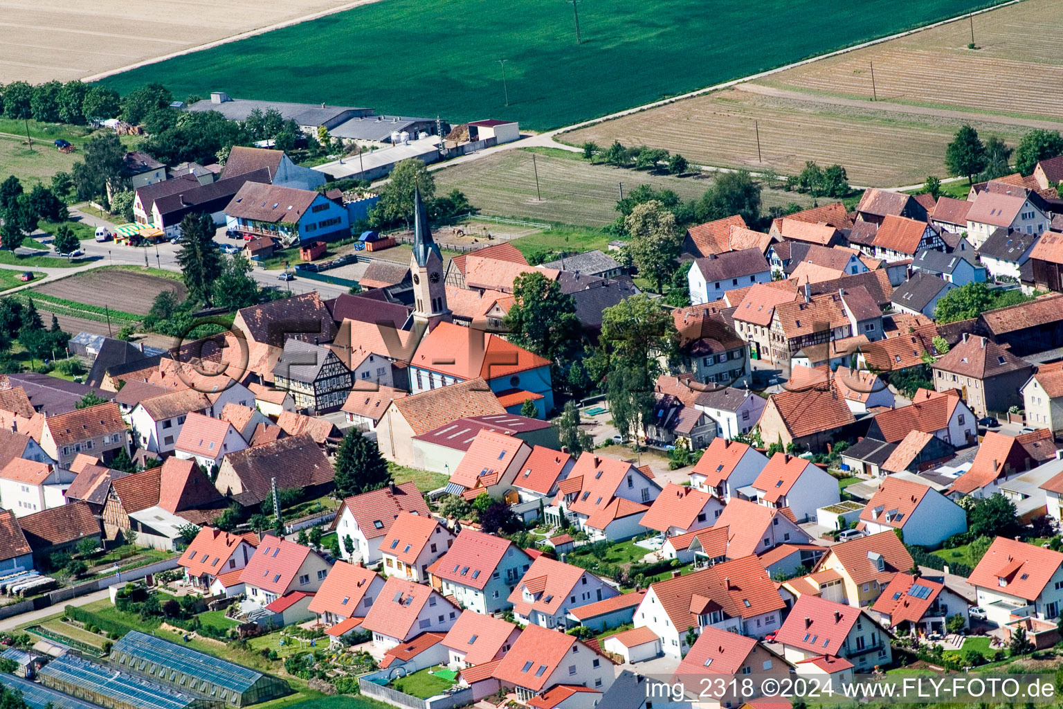 Vue aérienne de Erlenbach bei Kandel dans le département Rhénanie-Palatinat, Allemagne