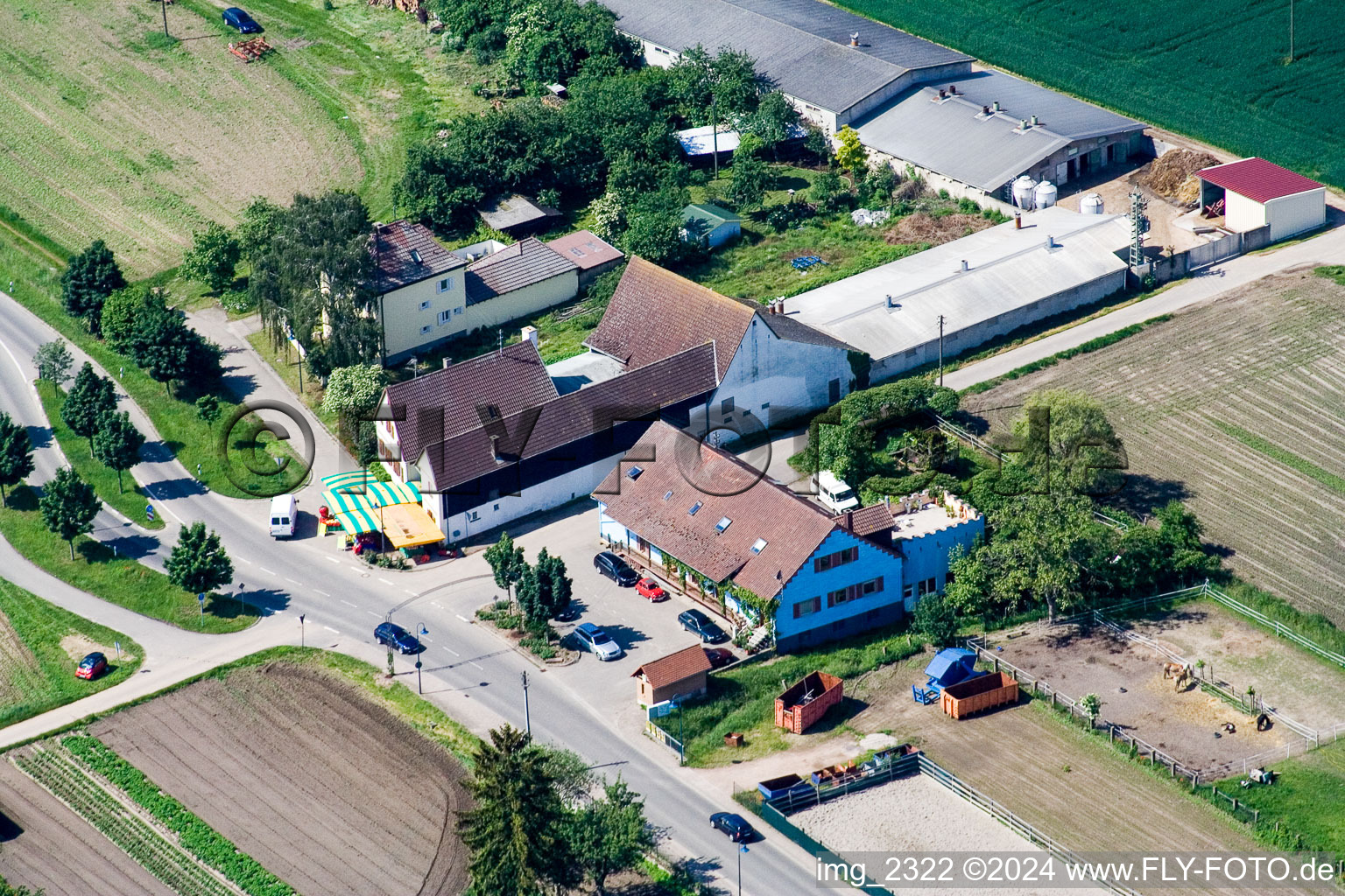 Vue aérienne de Gunther AJ Schönung produits agricoles à Erlenbach bei Kandel dans le département Rhénanie-Palatinat, Allemagne