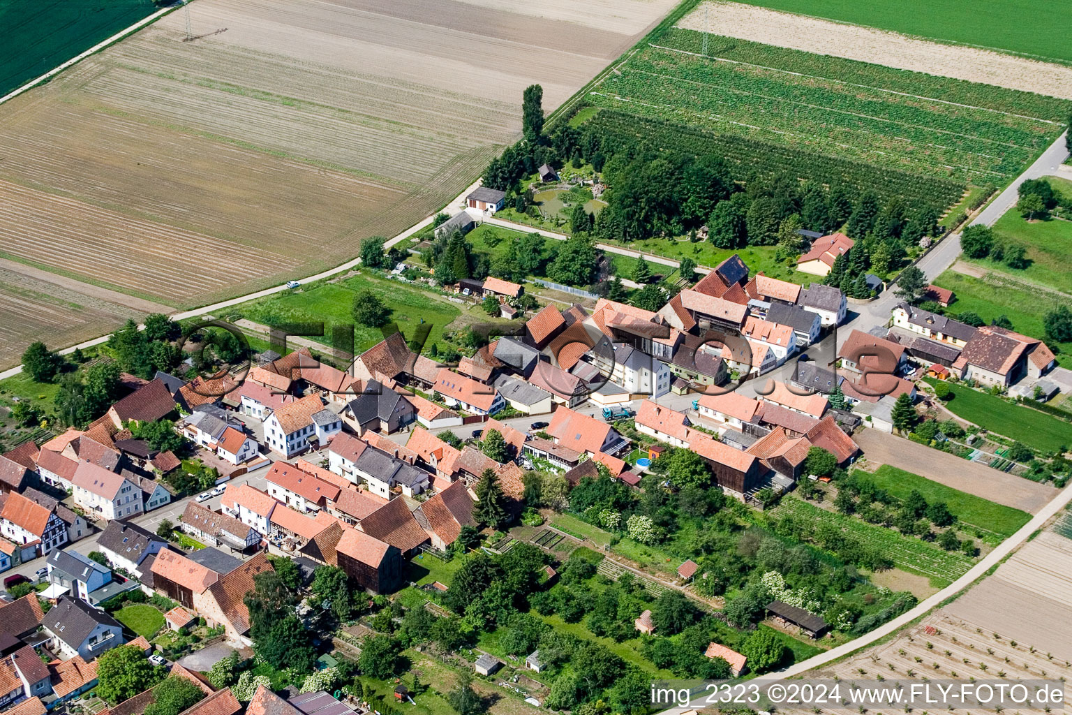 Erlenbach bei Kandel dans le département Rhénanie-Palatinat, Allemagne d'en haut