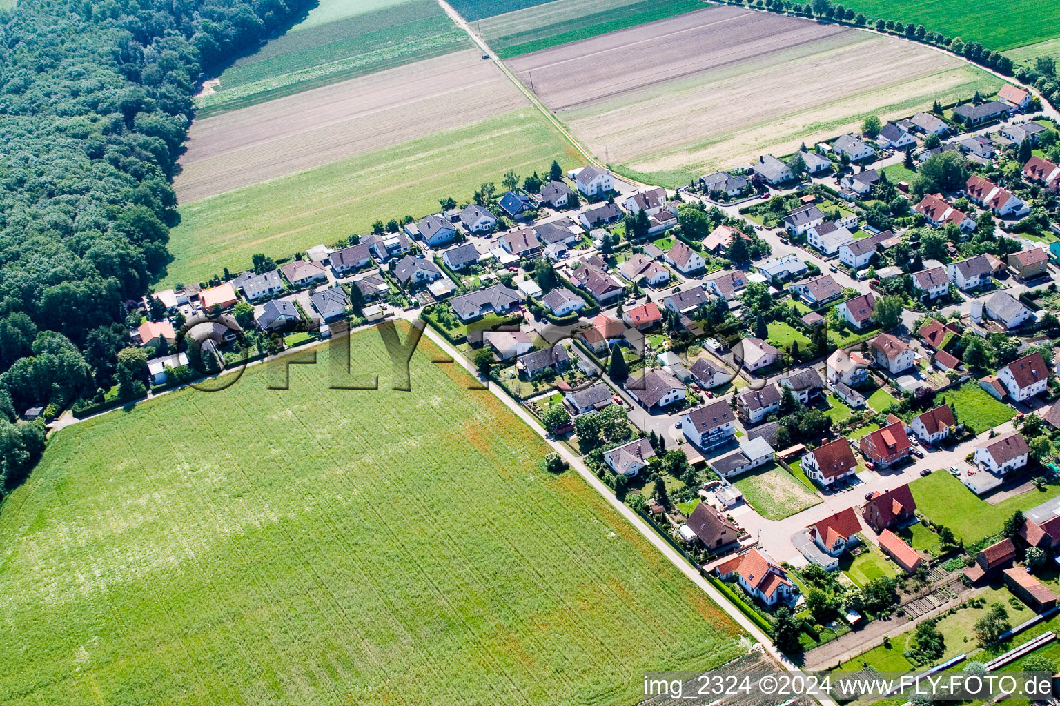 Vue aérienne de Waldstr. à Erlenbach bei Kandel dans le département Rhénanie-Palatinat, Allemagne