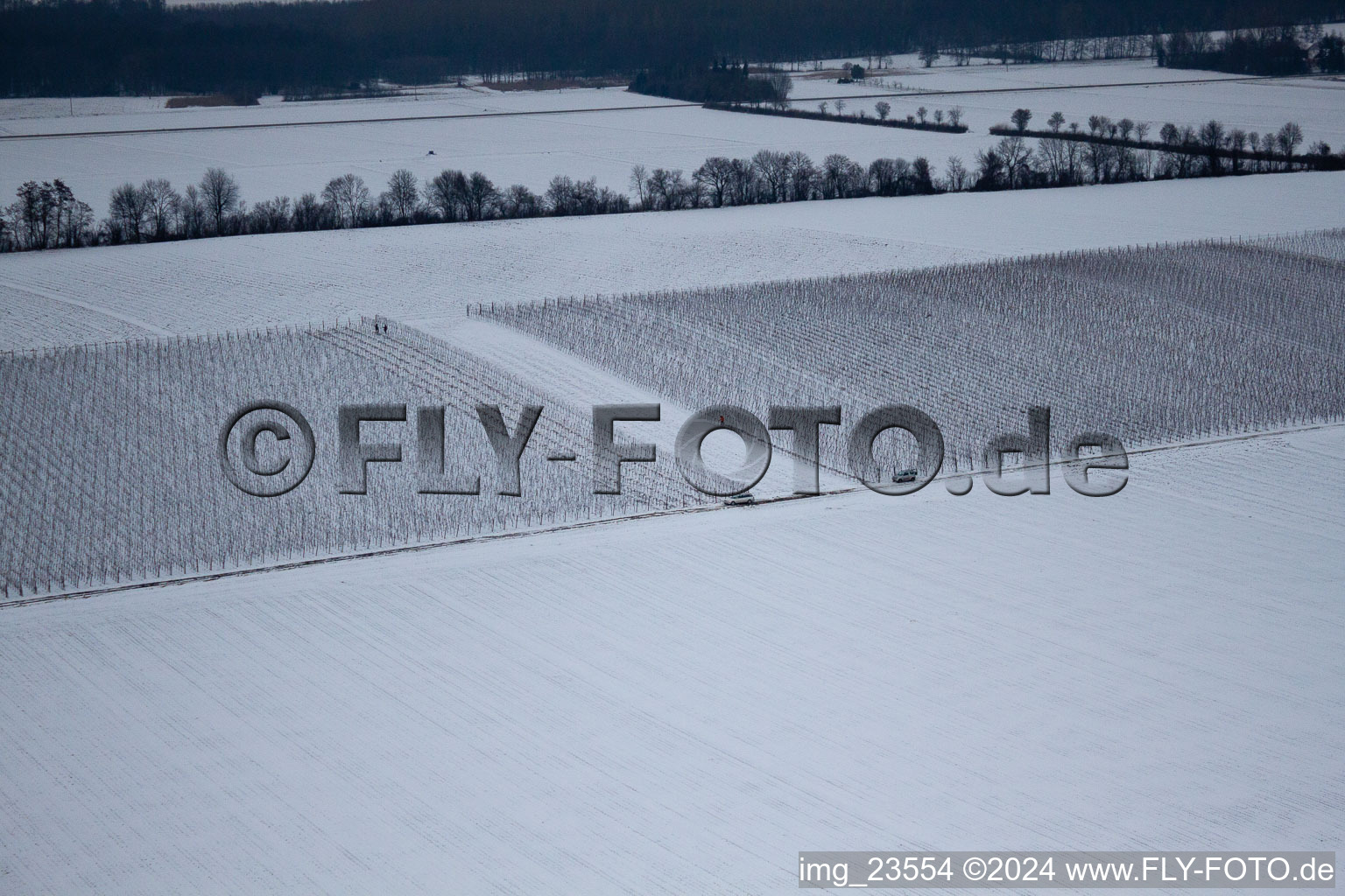 Enregistrement par drone de Éoliennes à Minfeld dans le département Rhénanie-Palatinat, Allemagne