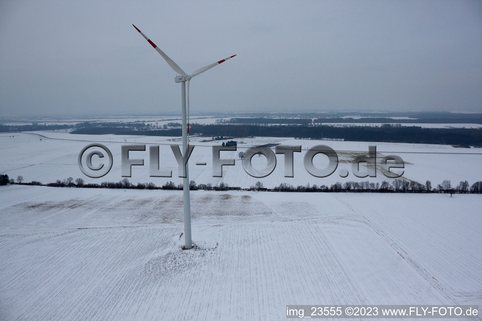Image drone de Éoliennes à Minfeld dans le département Rhénanie-Palatinat, Allemagne