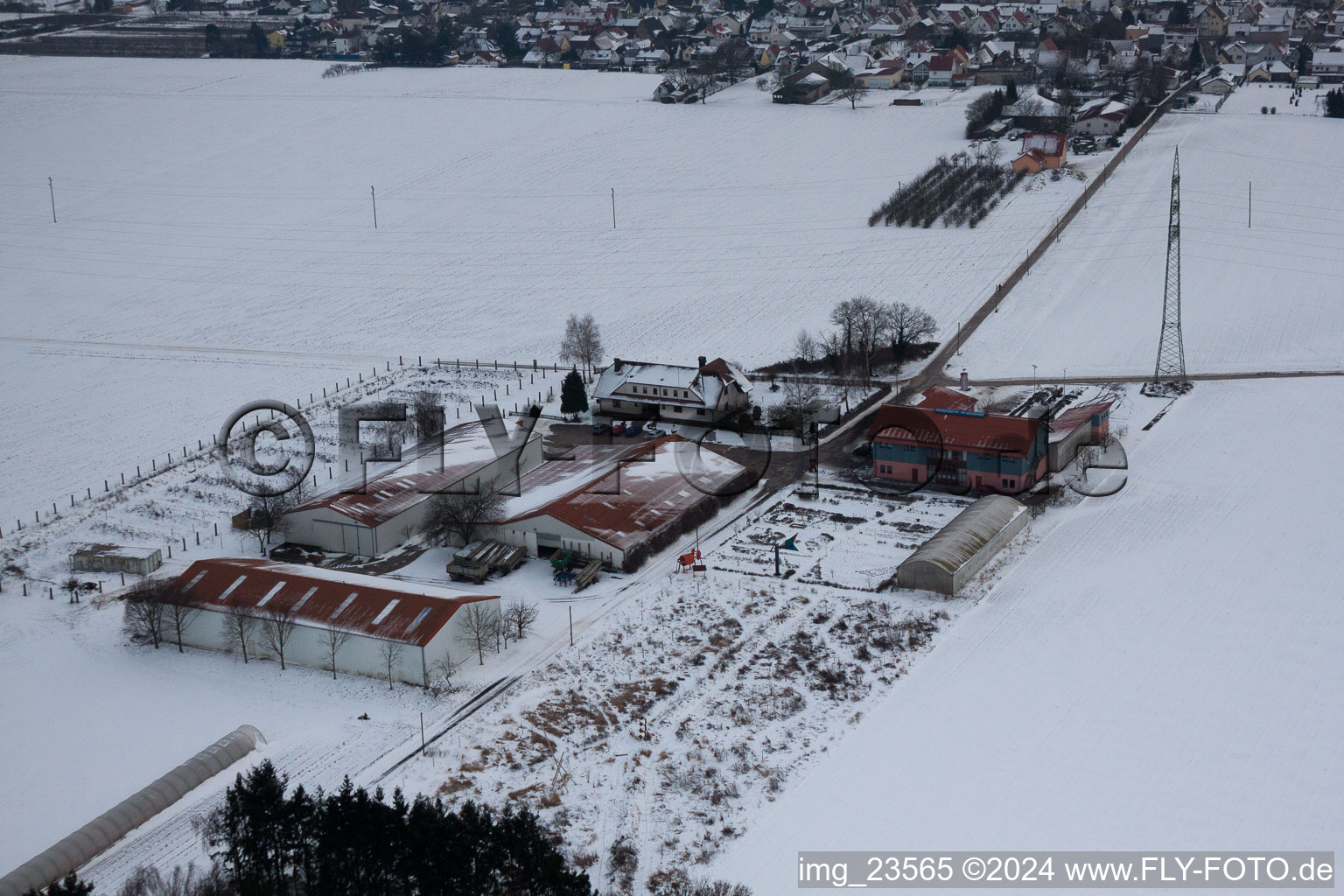 Schosberghof à Minfeld dans le département Rhénanie-Palatinat, Allemagne hors des airs