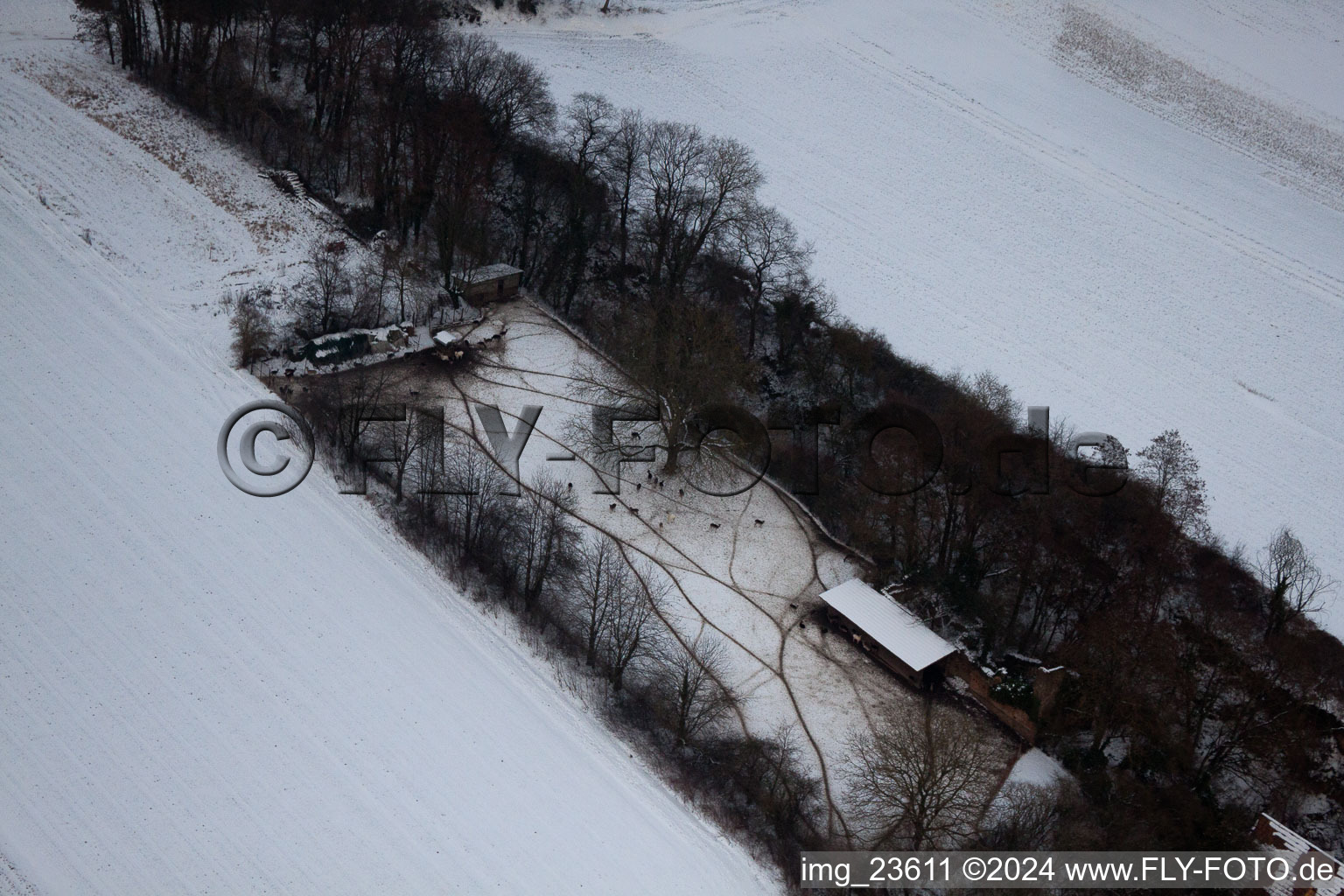 Freckenfeld dans le département Rhénanie-Palatinat, Allemagne vue du ciel