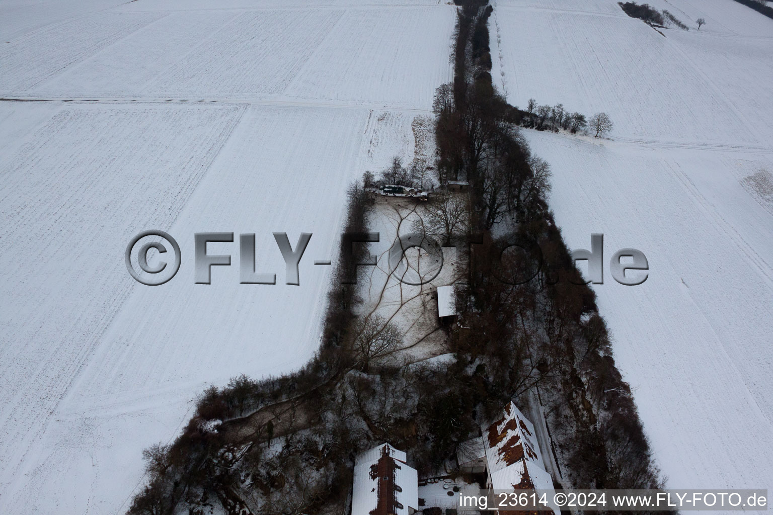 Freckenfeld dans le département Rhénanie-Palatinat, Allemagne du point de vue du drone