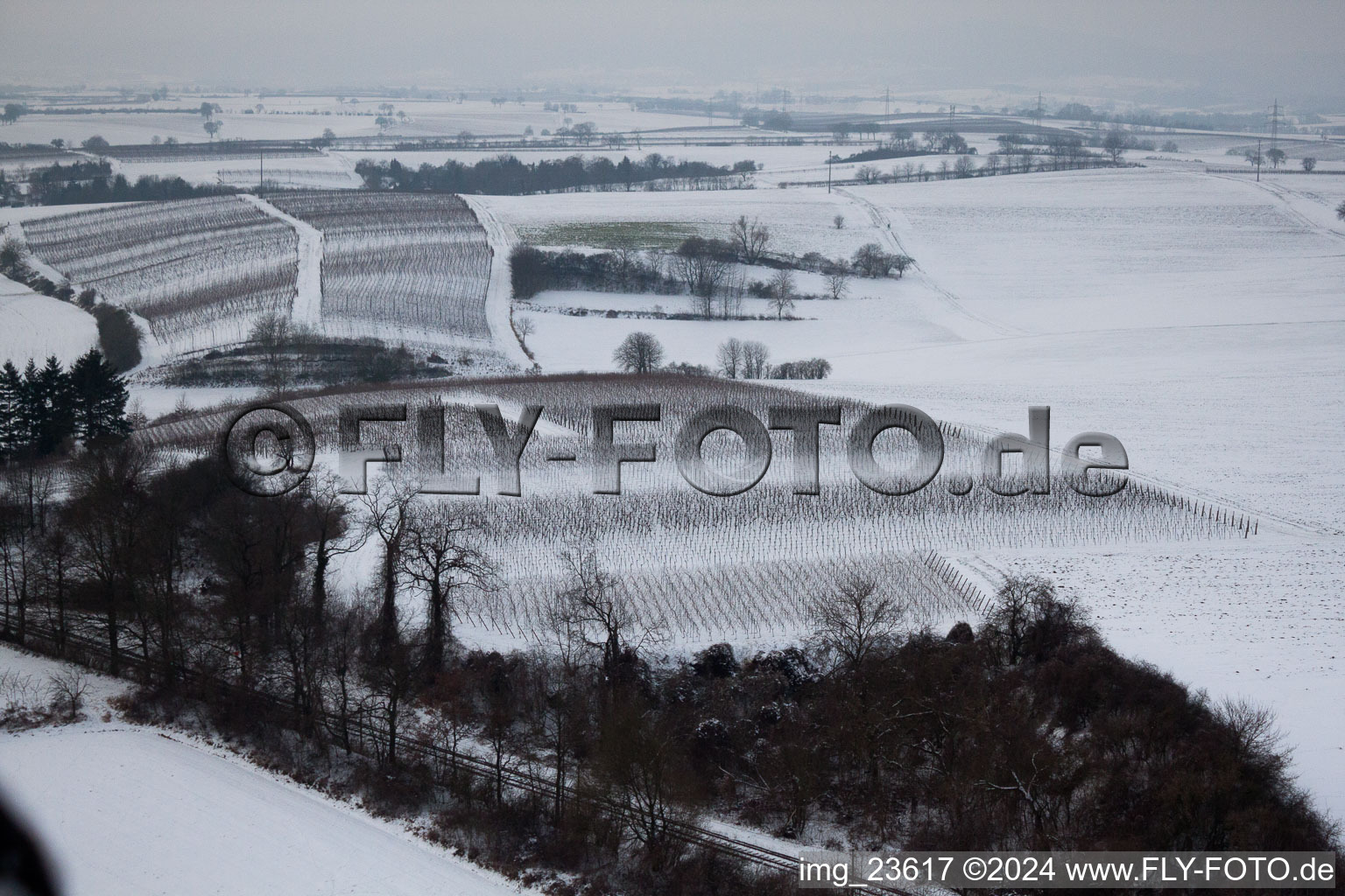 Vue aérienne de Ailier d'hiver à Freckenfeld dans le département Rhénanie-Palatinat, Allemagne